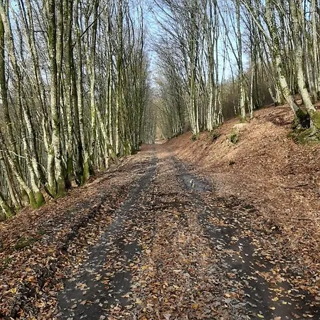 Les Chênes Casa de Férias Vresse-sur-Semois